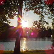 DSCF1536