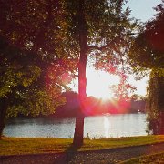 DSCF1553
