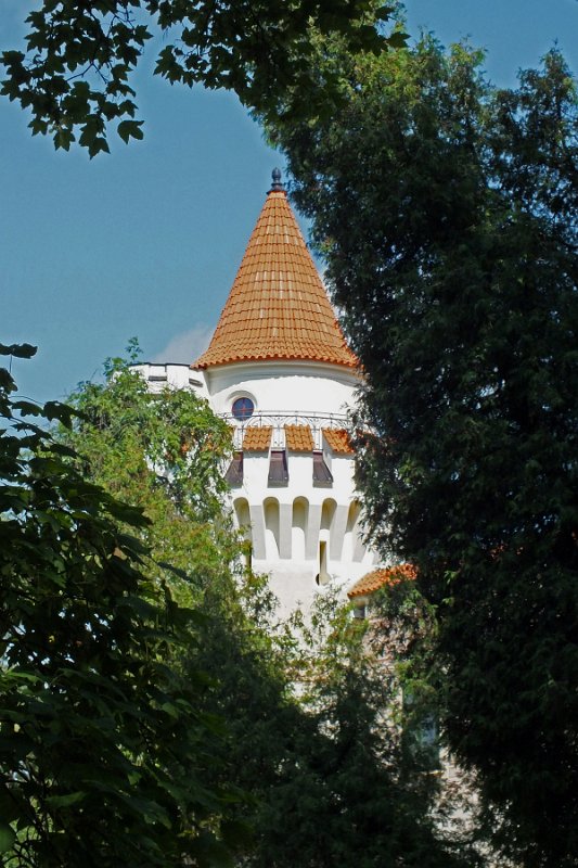DSCF1579