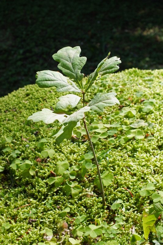DSCF1583