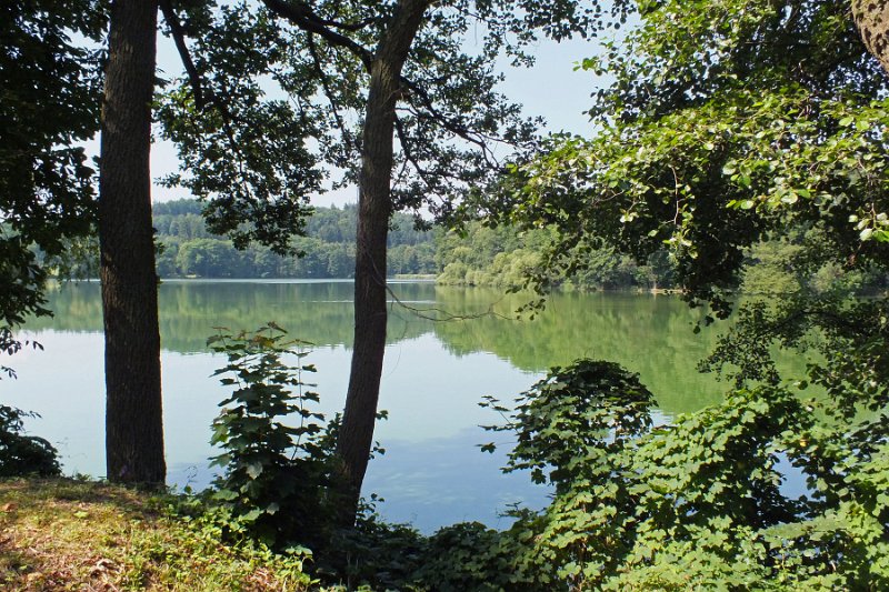 DSCF1599