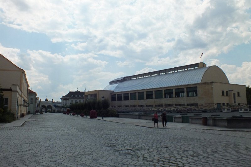 DSCF1667