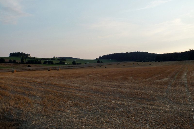 DSCF1908