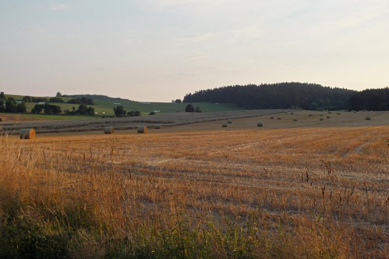 DSCF1922
