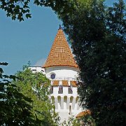 DSCF1579