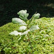 DSCF1583