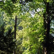 DSCF1586