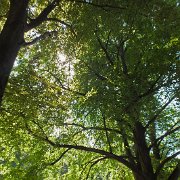 DSCF1593