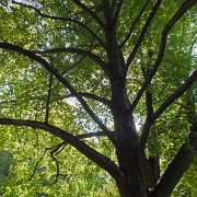 DSCF1595
