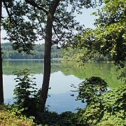 DSCF1599