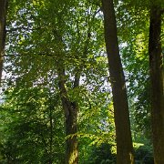 DSCF1606