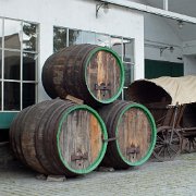 DSCF1666