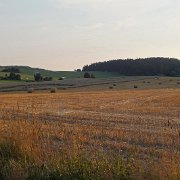 DSCF1922