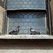 DSCF2035