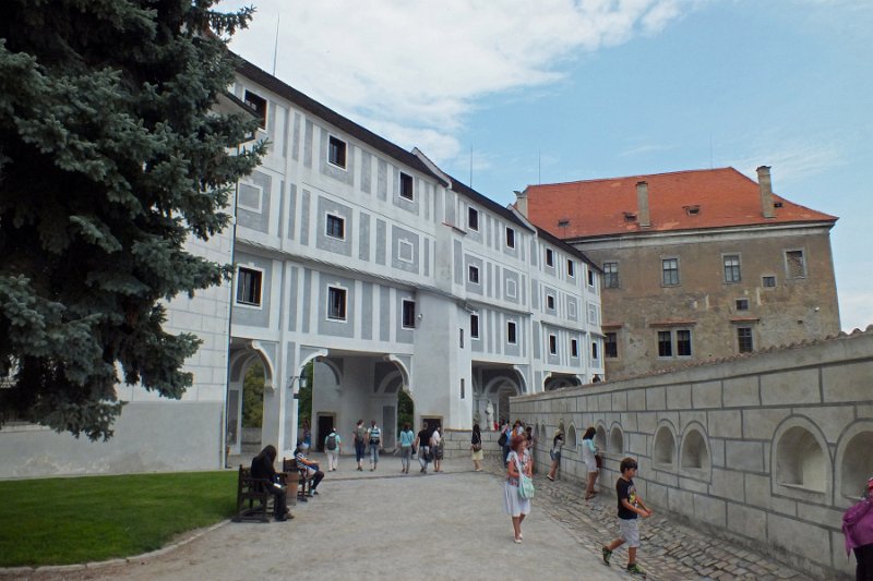 DSCF2449