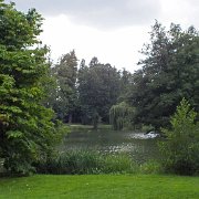 DSCF2741