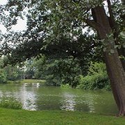 DSCF2746