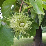 DSCF2760