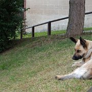 DSCF2787