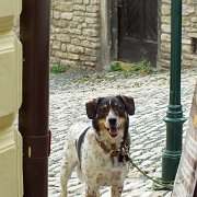 DSCF3209